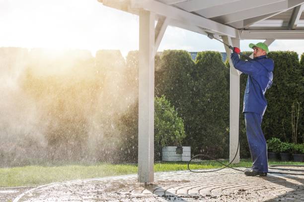 Animal Enclosure Cleaning in Athens, GA